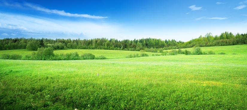 clôture